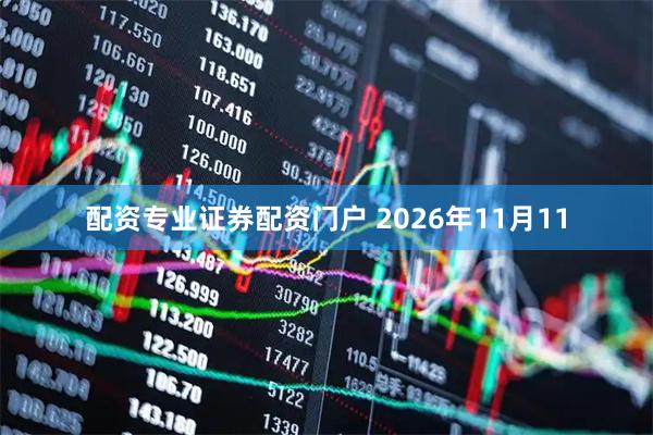 配资专业证券配资门户 2026年11月11