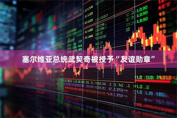 塞尔维亚总统武契奇被授予“友谊勋章”