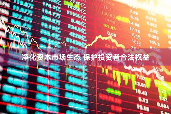 净化资本市场生态 保护投资者合法权益